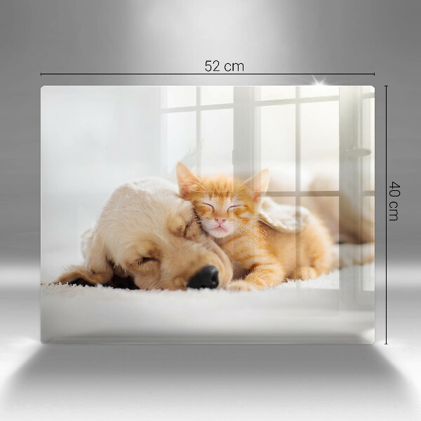 Chopping board Animals dog and cat