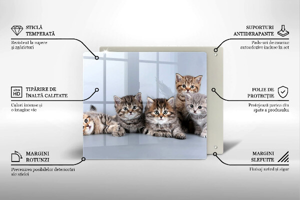 Kitchen worktop protector Sweet small cats