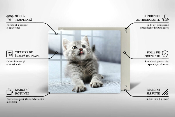 Chopping board glass Little cute kitty