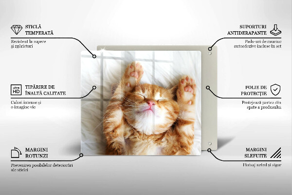 Kitchen worktop protector Little sweet kitty