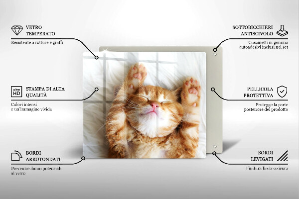 Kitchen worktop protector Little sweet kitty