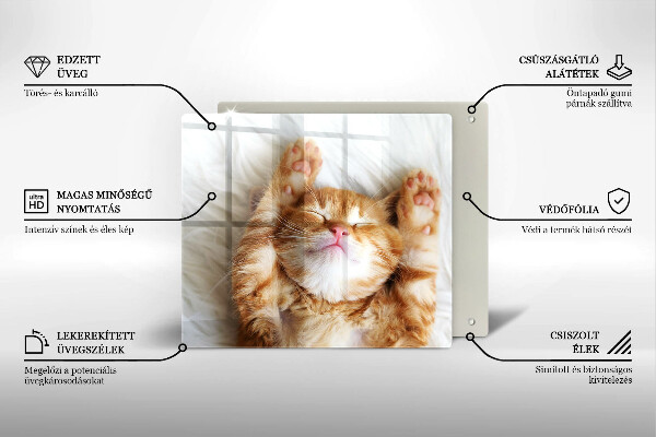 Kitchen worktop protector Little sweet kitty