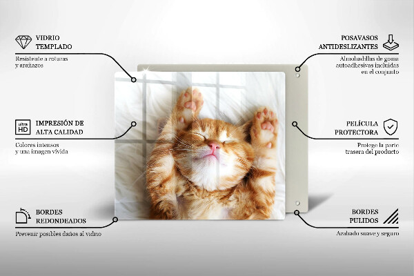 Kitchen worktop protector Little sweet kitty