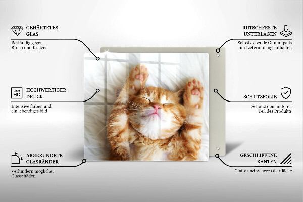 Kitchen worktop protector Little sweet kitty