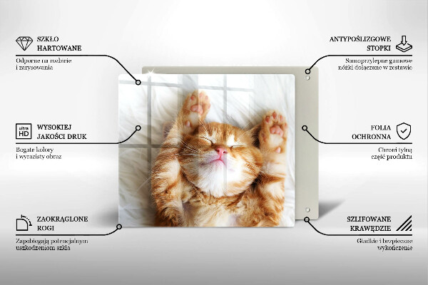 Kitchen worktop protector Little sweet kitty