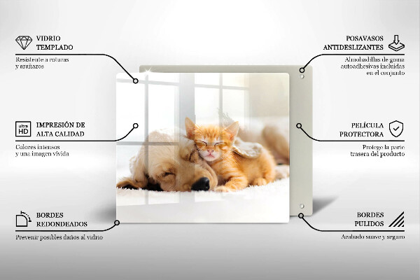 Glass worktop saver Animals dog and cat