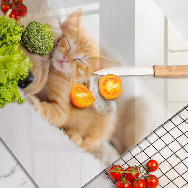 Glass worktop saver Animals dog and cat