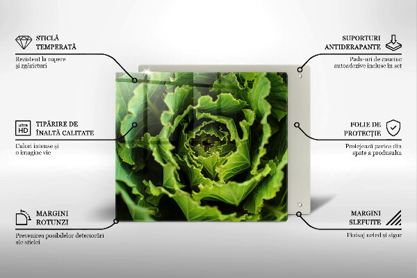 Chopping board glass Food - lettuce