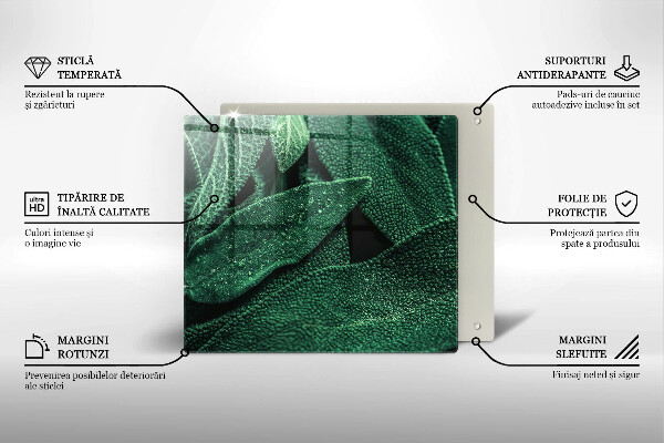 Kitchen worktop protector Plant leaves