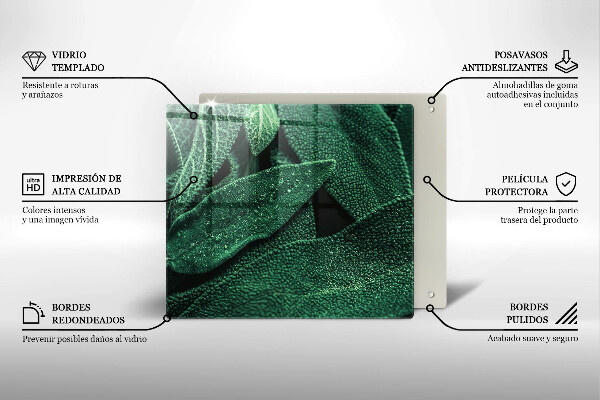 Kitchen worktop protector Plant leaves