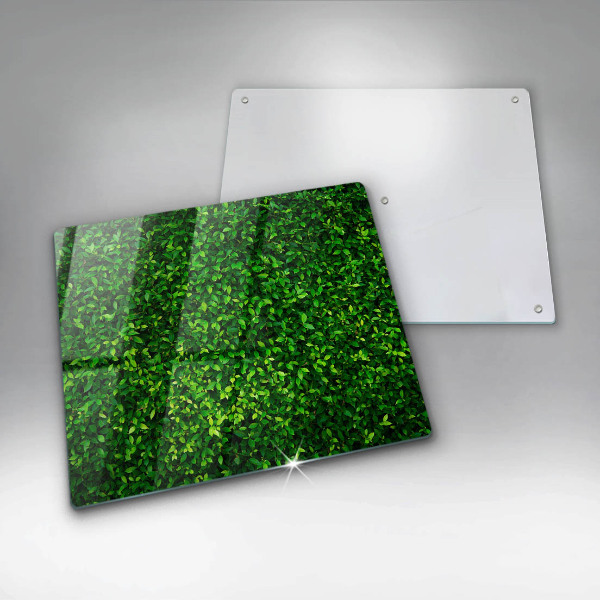 Glass worktop saver Plant small leaves