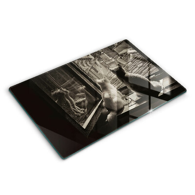 Worktop saver Cats city and window