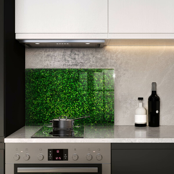 Worktop saver Plant small leaves