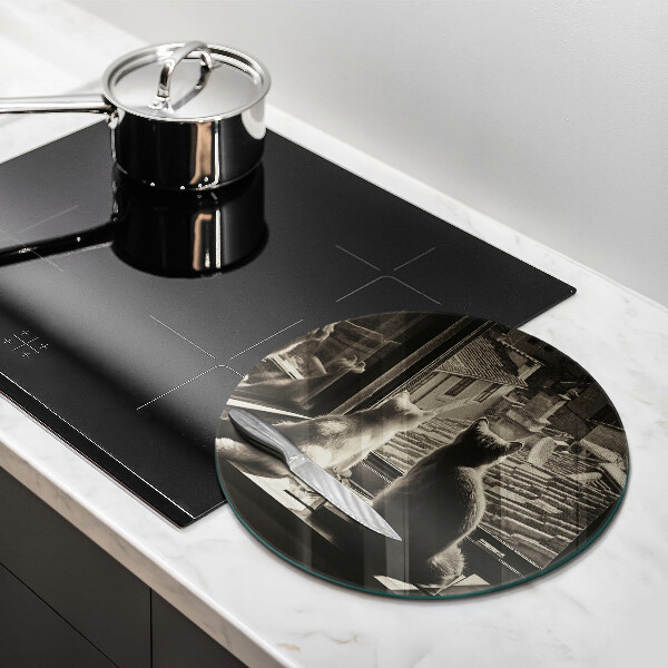 Chopping board glass Cats city and window