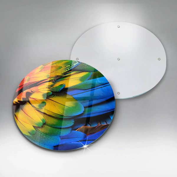 Glass cutting board Colorful parrots