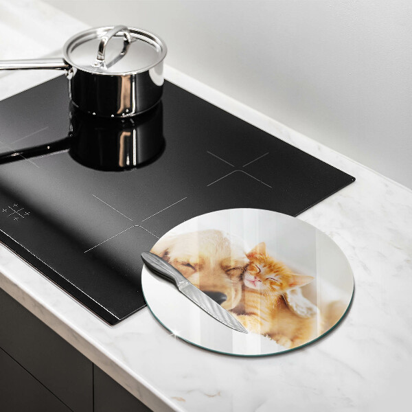 Chopping board glass Animals dog and cat