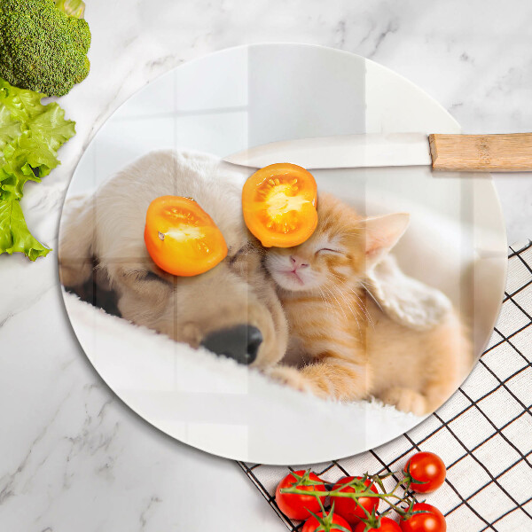 Chopping board glass Animals dog and cat