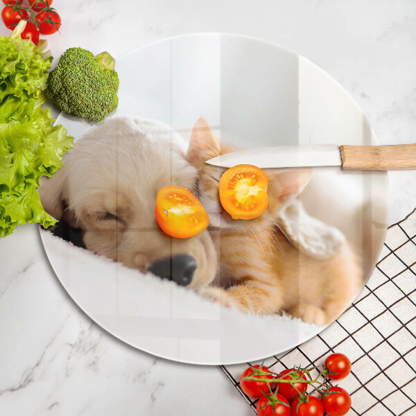 Chopping board glass Animals dog and cat