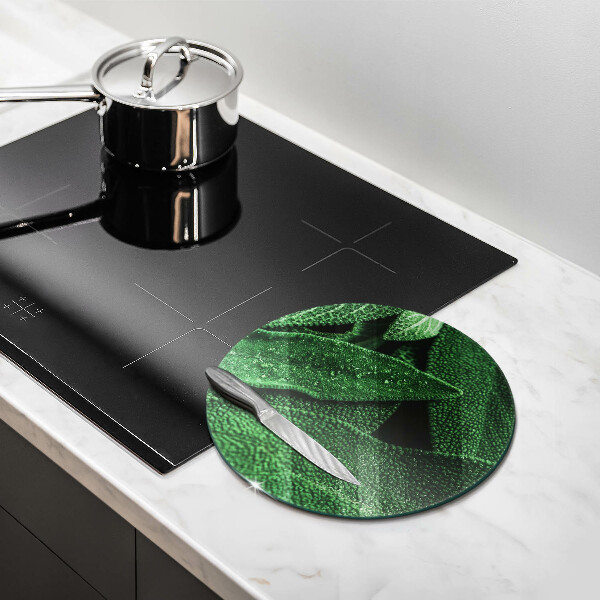 Chopping board glass Plant leaves