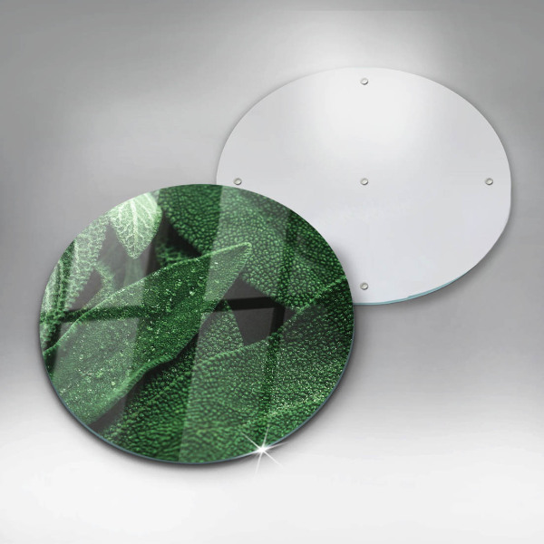 Chopping board glass Plant leaves