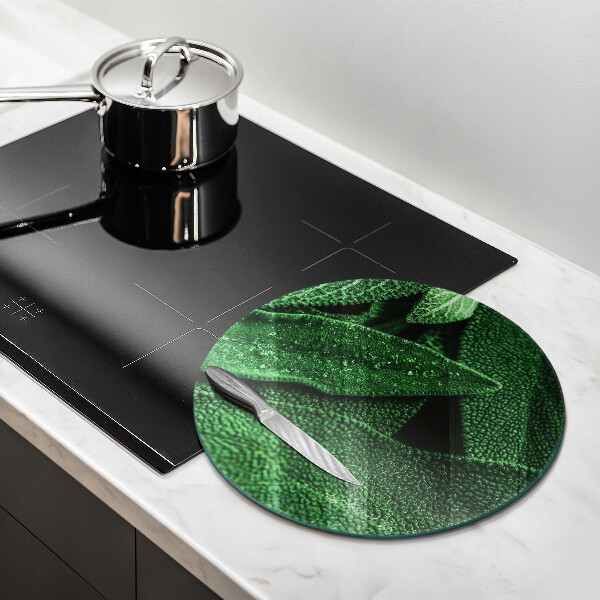 Chopping board glass Plant leaves
