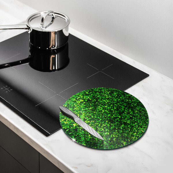 Chopping board glass Plant small leaves