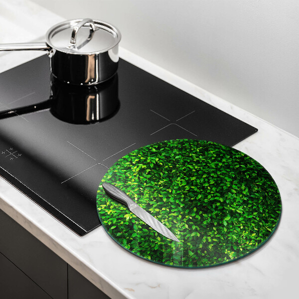 Chopping board glass Plant small leaves