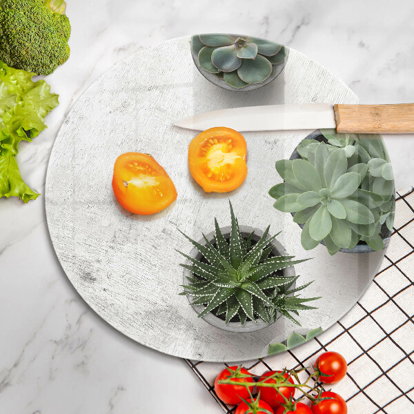 Chopping board glass Succulents on concrete