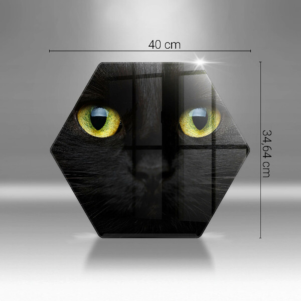 Chopping board glass Animal cat eyes