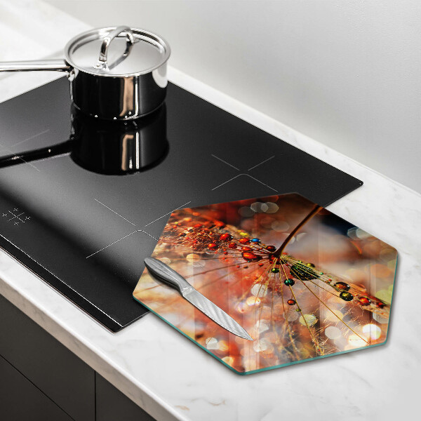 Chopping board glass Wet dandelion