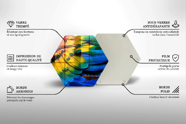 Glass worktop saver Colorful parrots