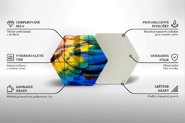 Glass worktop saver Colorful parrots