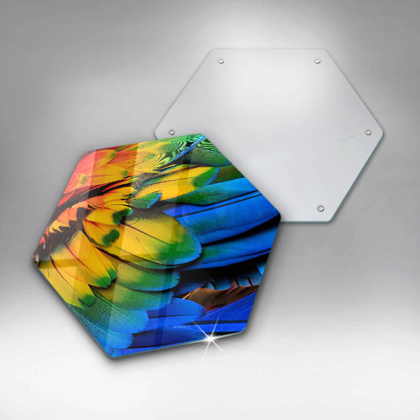 Glass worktop saver Colorful parrots