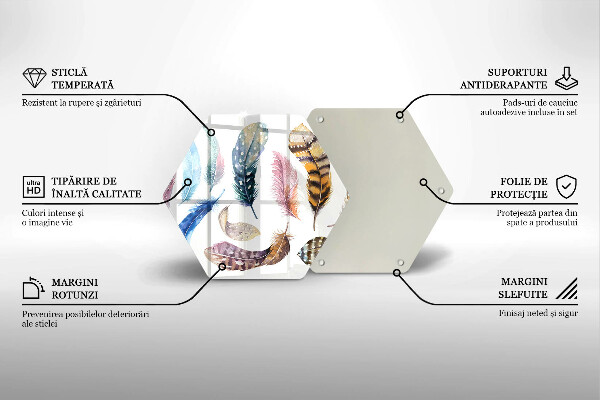 Glass worktop saver Colorful bird feathers