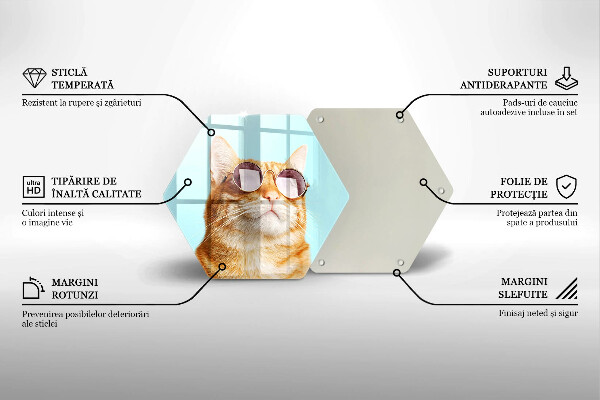 Glass worktop saver Rudy Cat with glasses