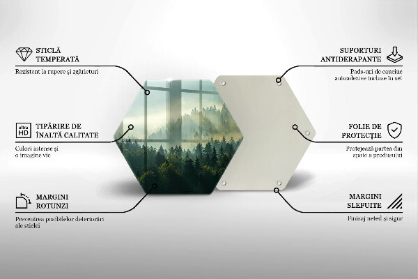 Chopping board Landscape view of the forest
