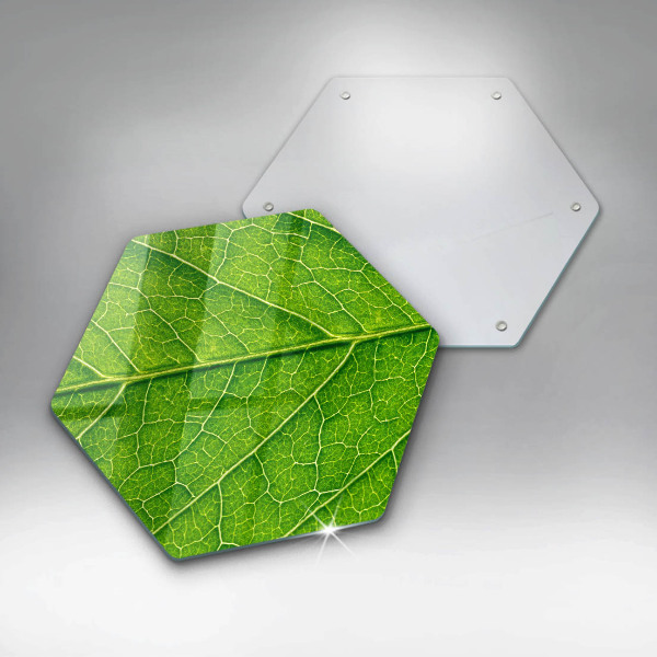 Chopping board glass Leaf lines nature