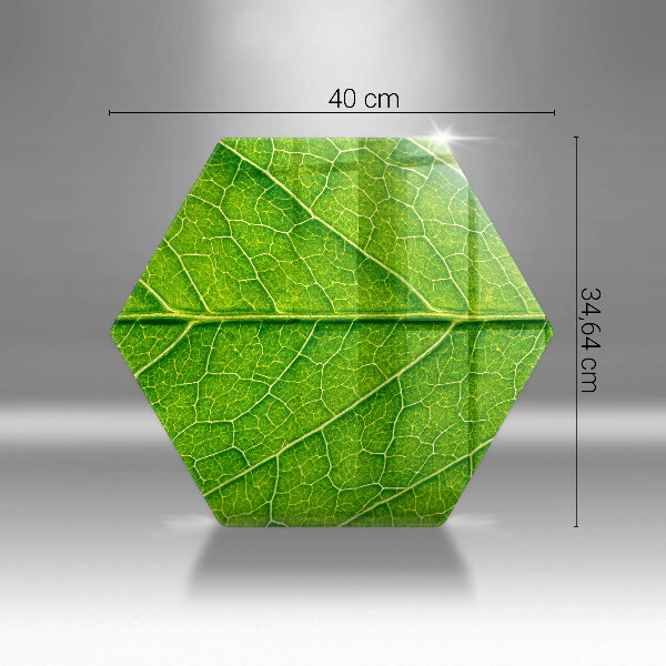 Chopping board glass Leaf lines nature