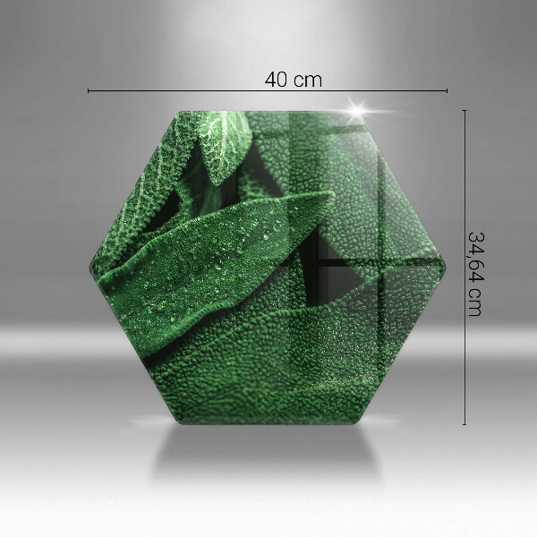 Chopping board Plant leaves