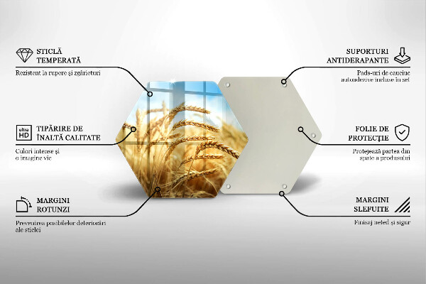 Glass worktop saver Cereals in the field