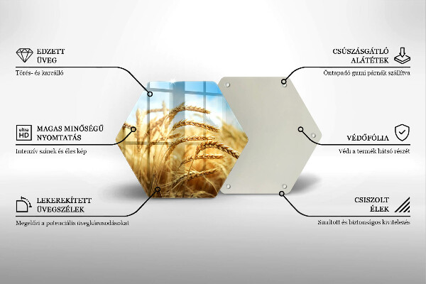 Glass worktop saver Cereals in the field