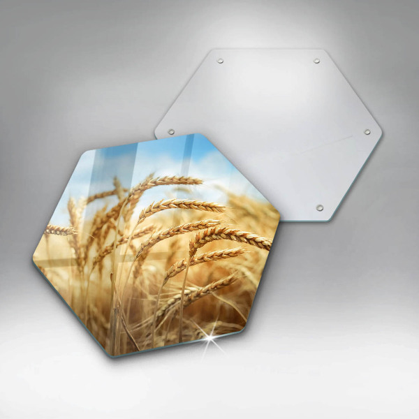 Glass worktop saver Cereals in the field