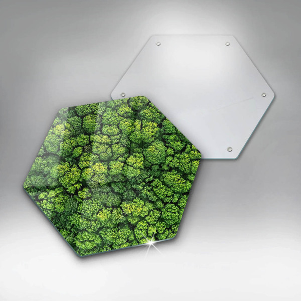 Glass chopping board Nature - moss plant