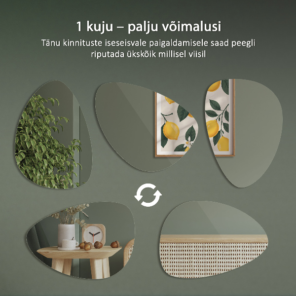 Ovoid mirror 64x90 cm