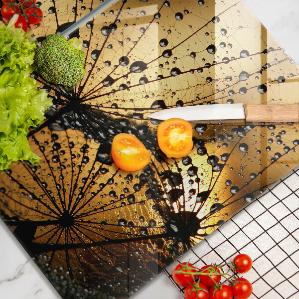 Induction hob cover Rosa and dandelions