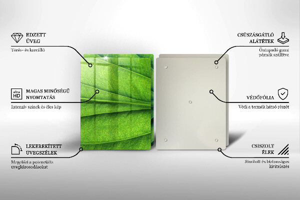 Induction hob cover Nature leaf veins