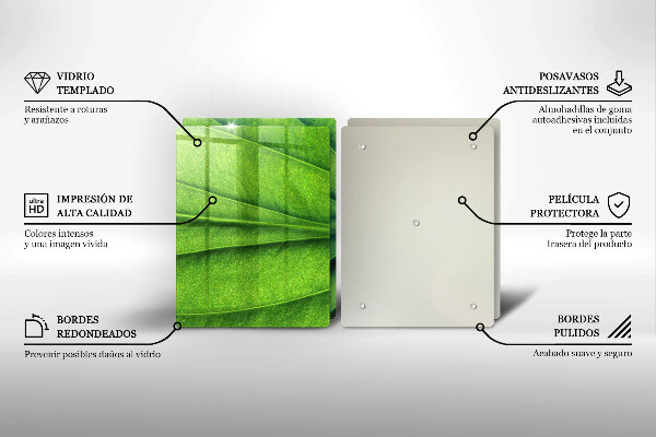 Induction hob cover Nature leaf veins
