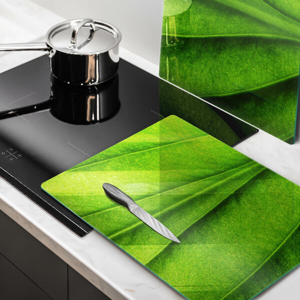 Induction hob cover Nature leaf veins