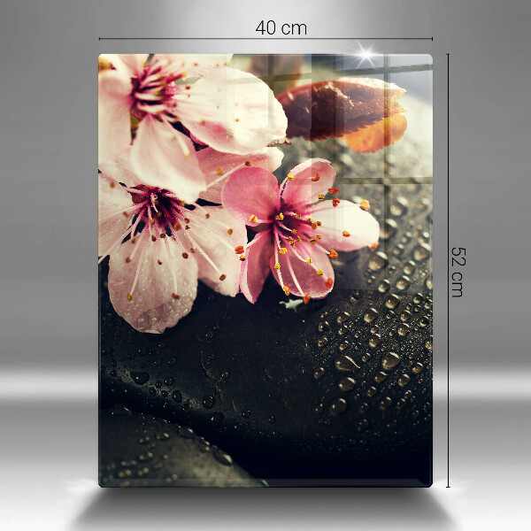 Induction hob protector Flowers stones zen