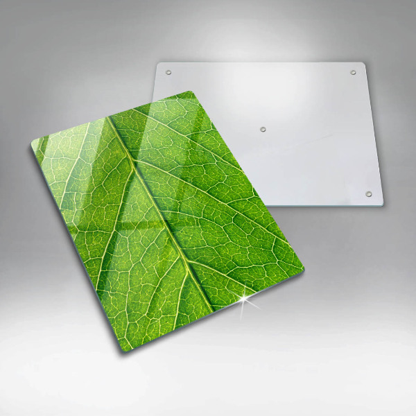 Induction hob protector Leaf lines nature